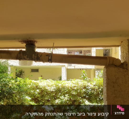 צינור מים עם חלודה בתקרה